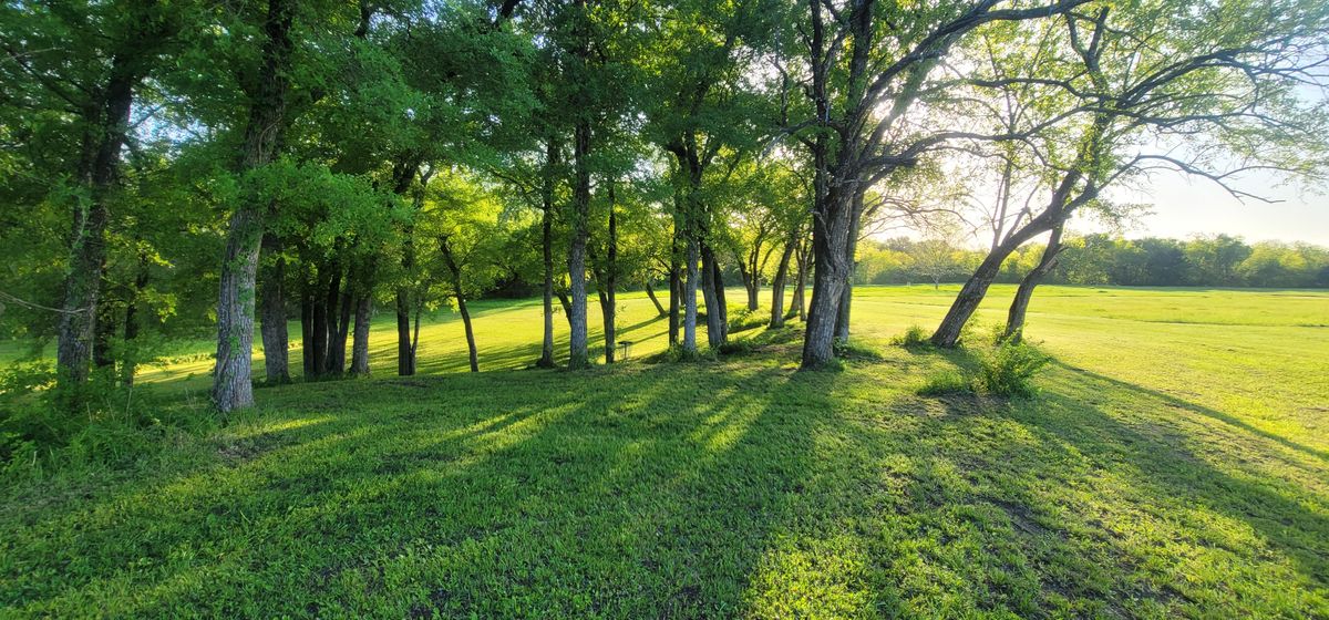 fairway approach to hole 2's green and basket (down the hill in the trees).  This is also the basket for hole 4.