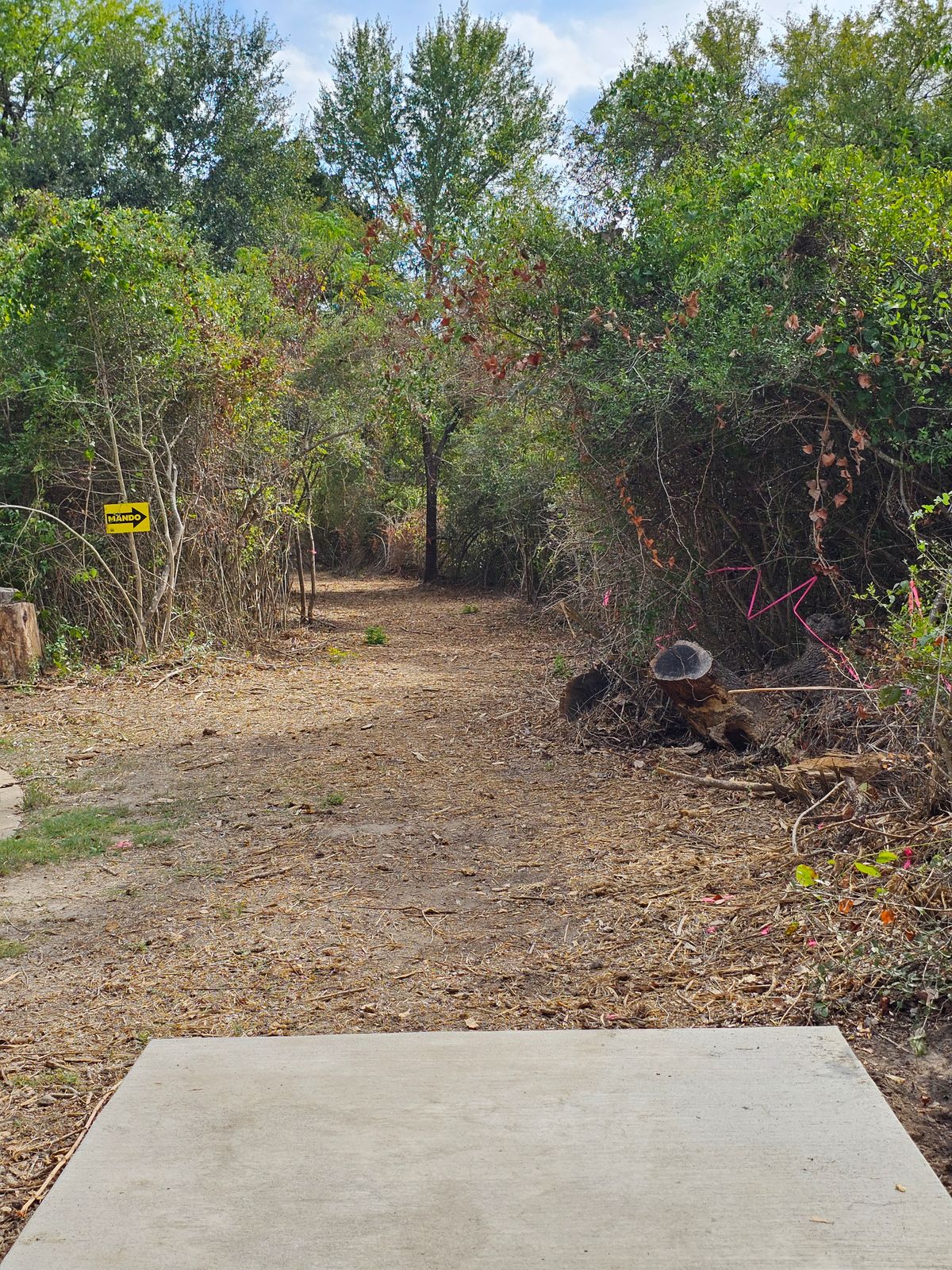 Hole 5 Tee
