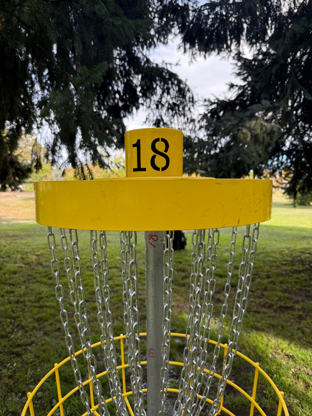 Nice basket detail to help identify