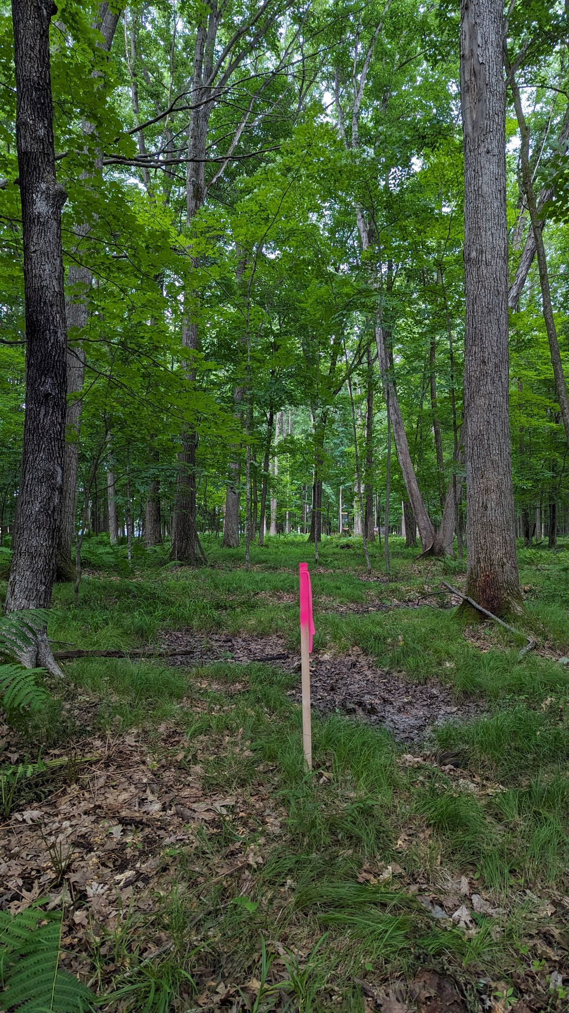 Tee 3