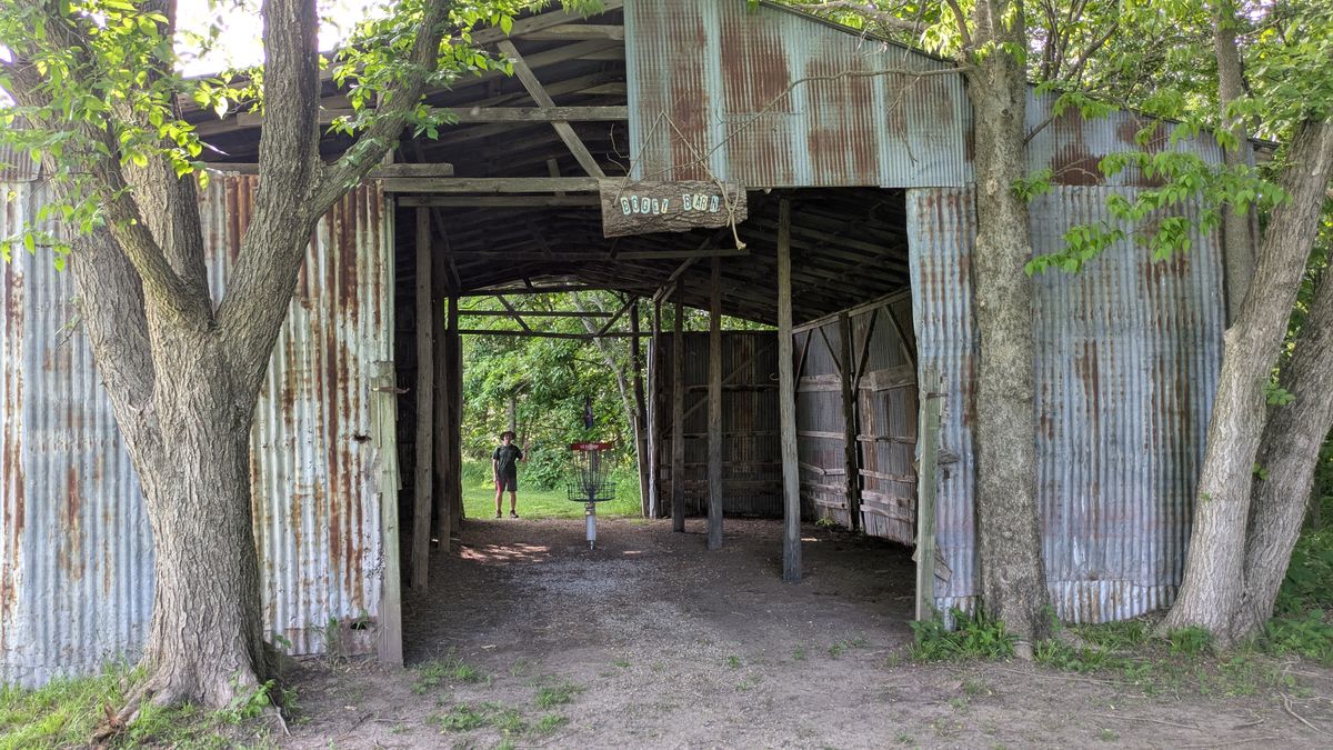 Bogie Barn Basket 7