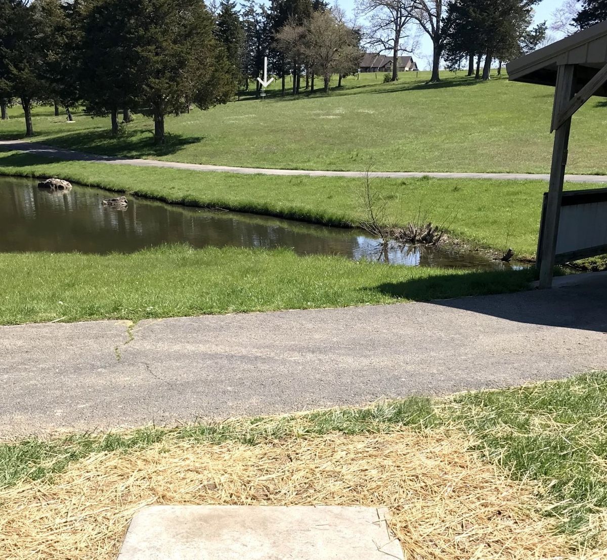 Hole 13- Lake OB