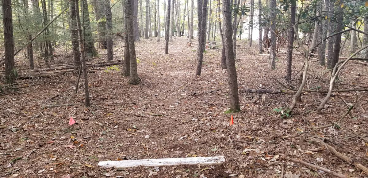Hole 6 tee