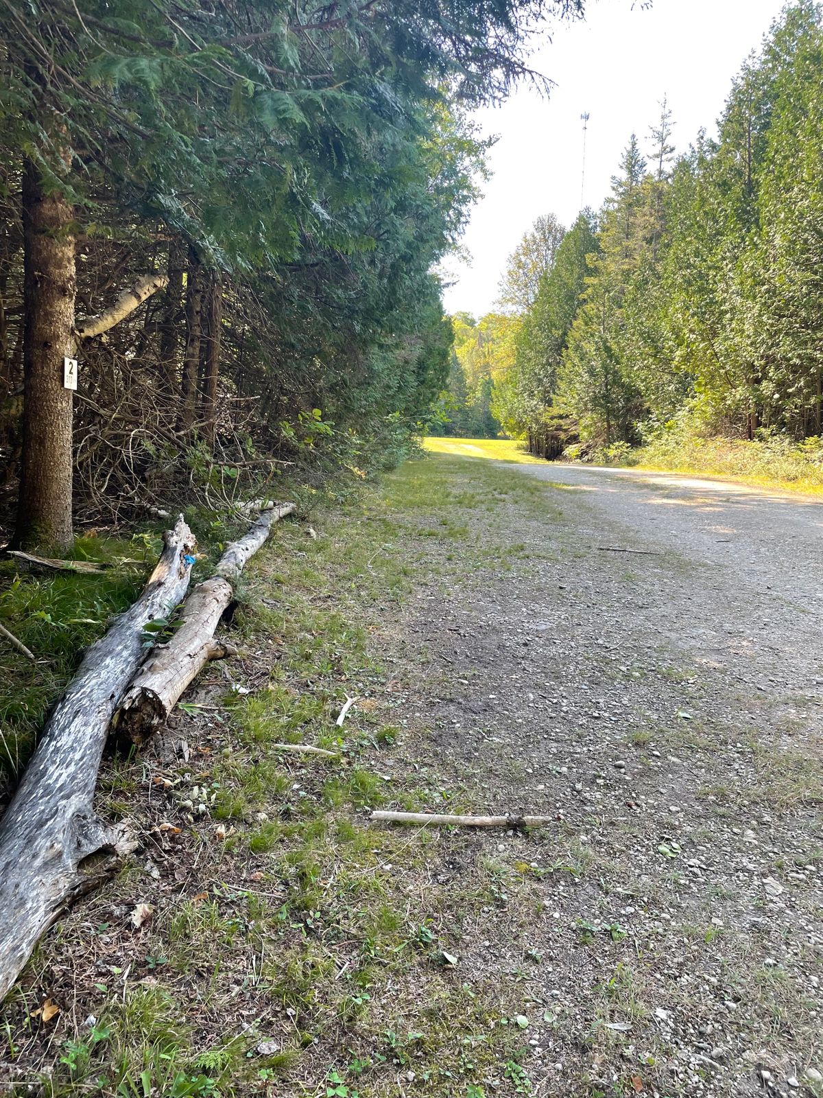 2s tee pad, just up the entrance road past parking