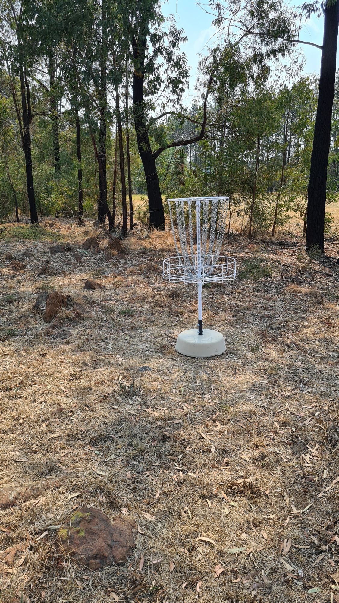 Hole 3/9 Basket