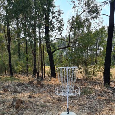 Hole 3/9 Basket