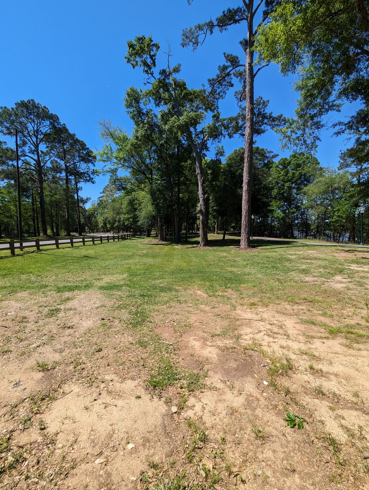 Hole 5 Greens
