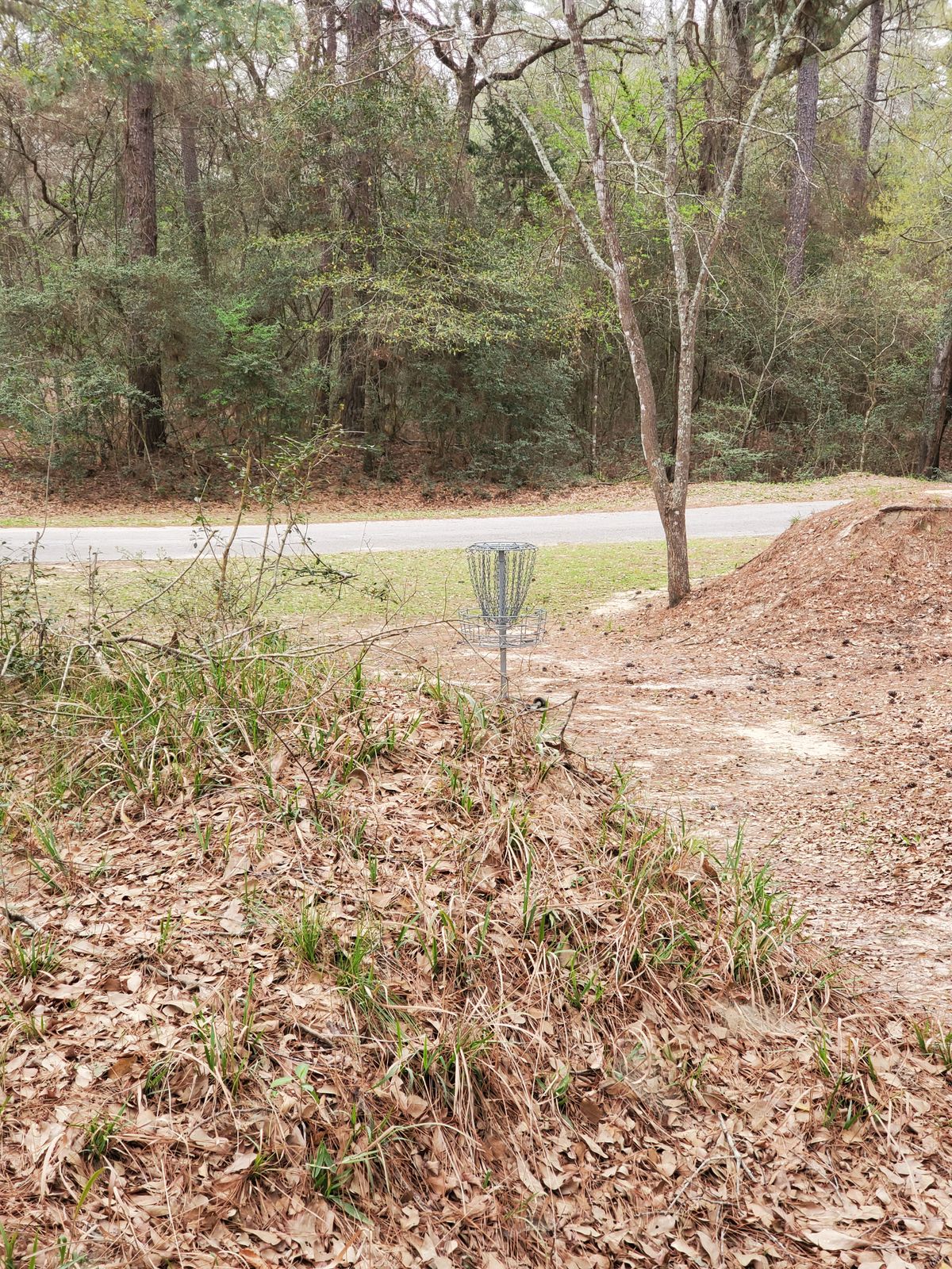 Hole 8 approach