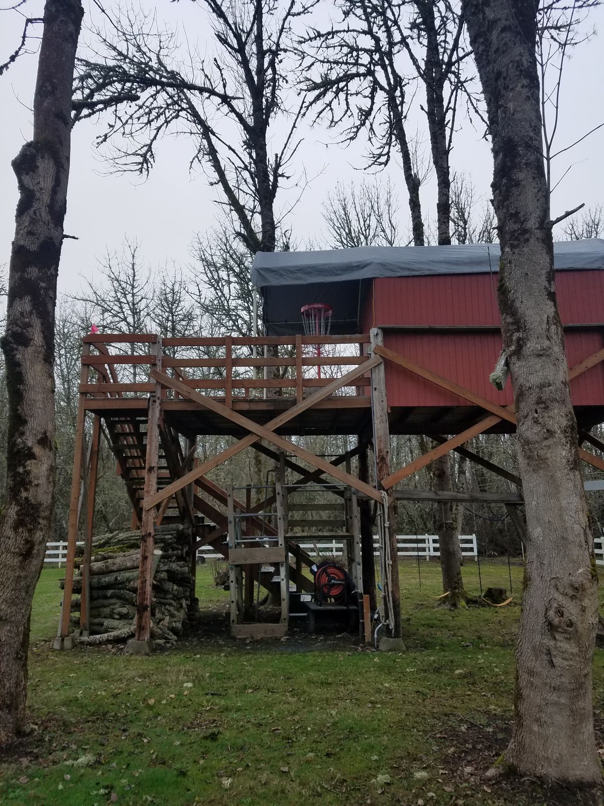 Very cool elevated shot in a tree house