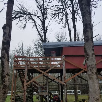 Very cool elevated shot in a tree house