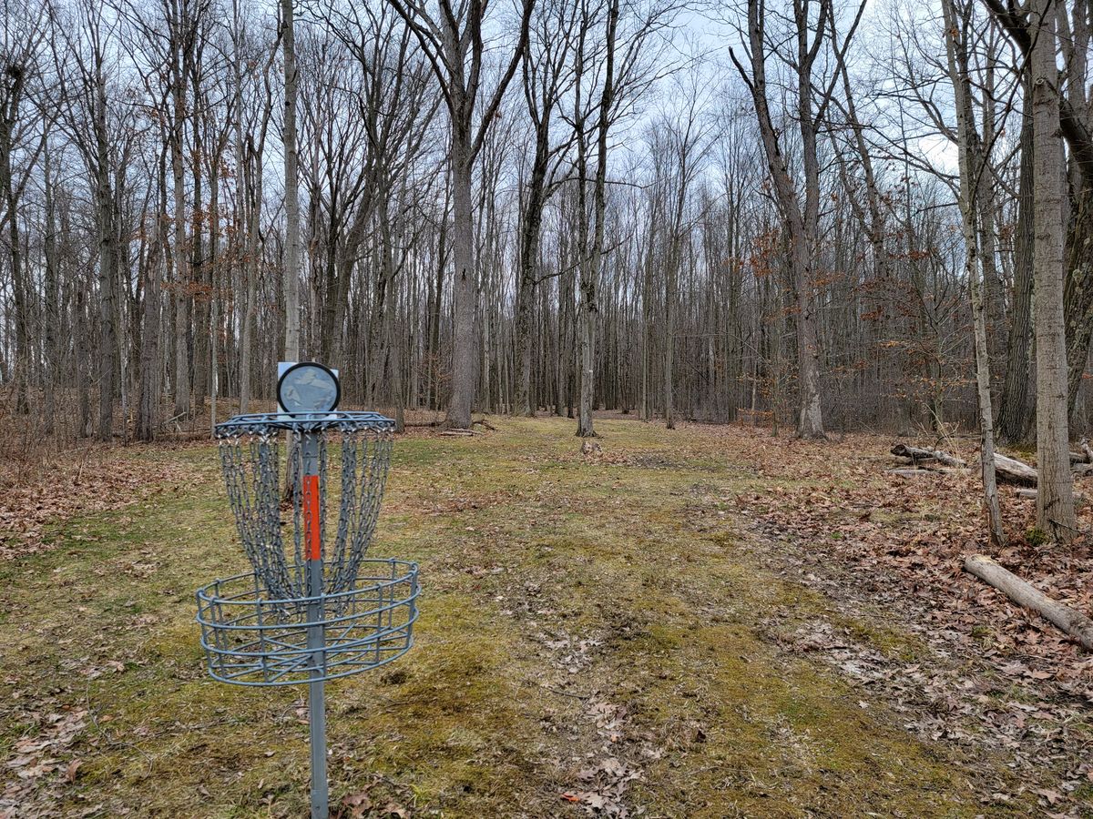16 green looking back up fairway