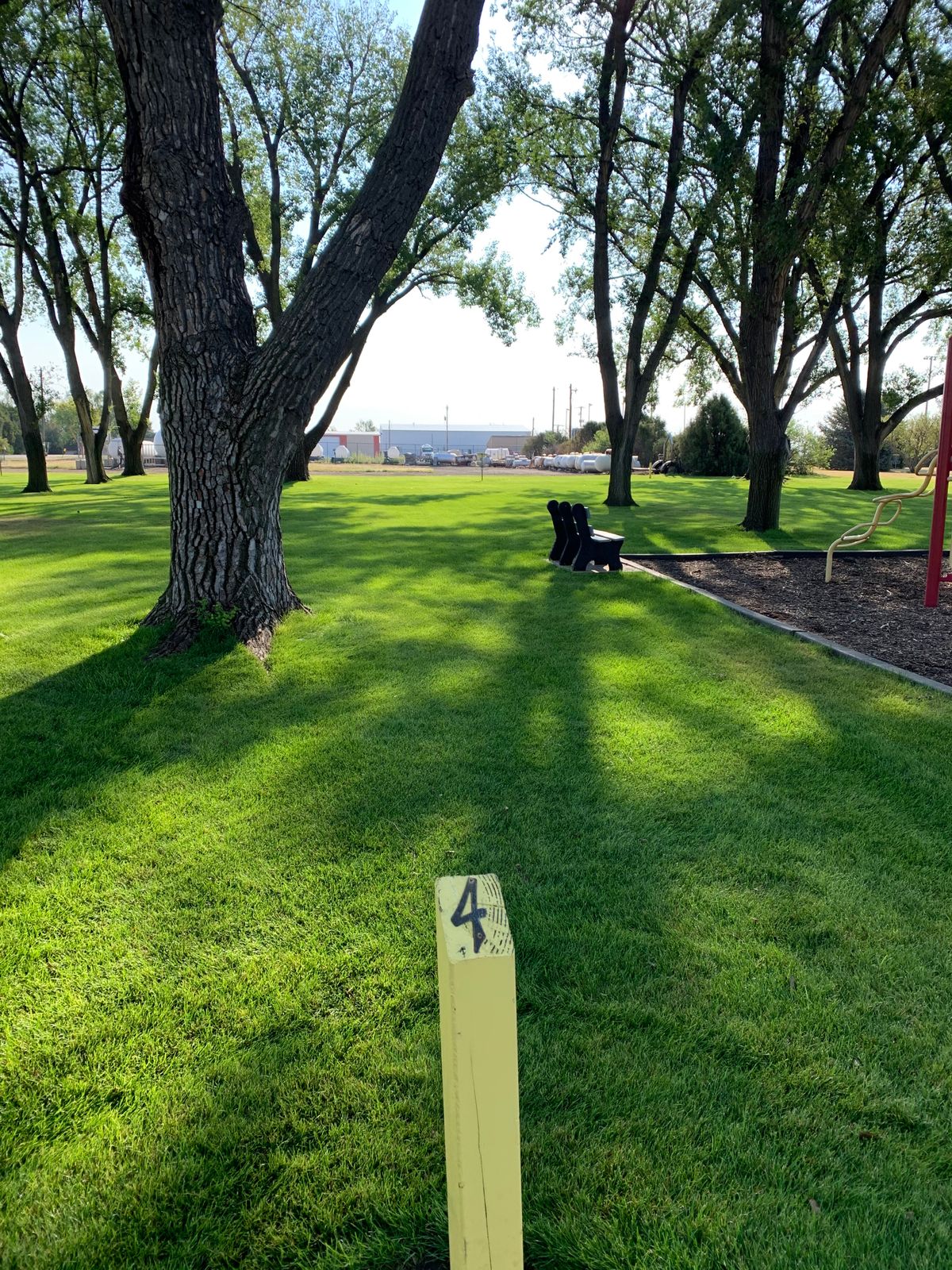 Hole 4 tee area