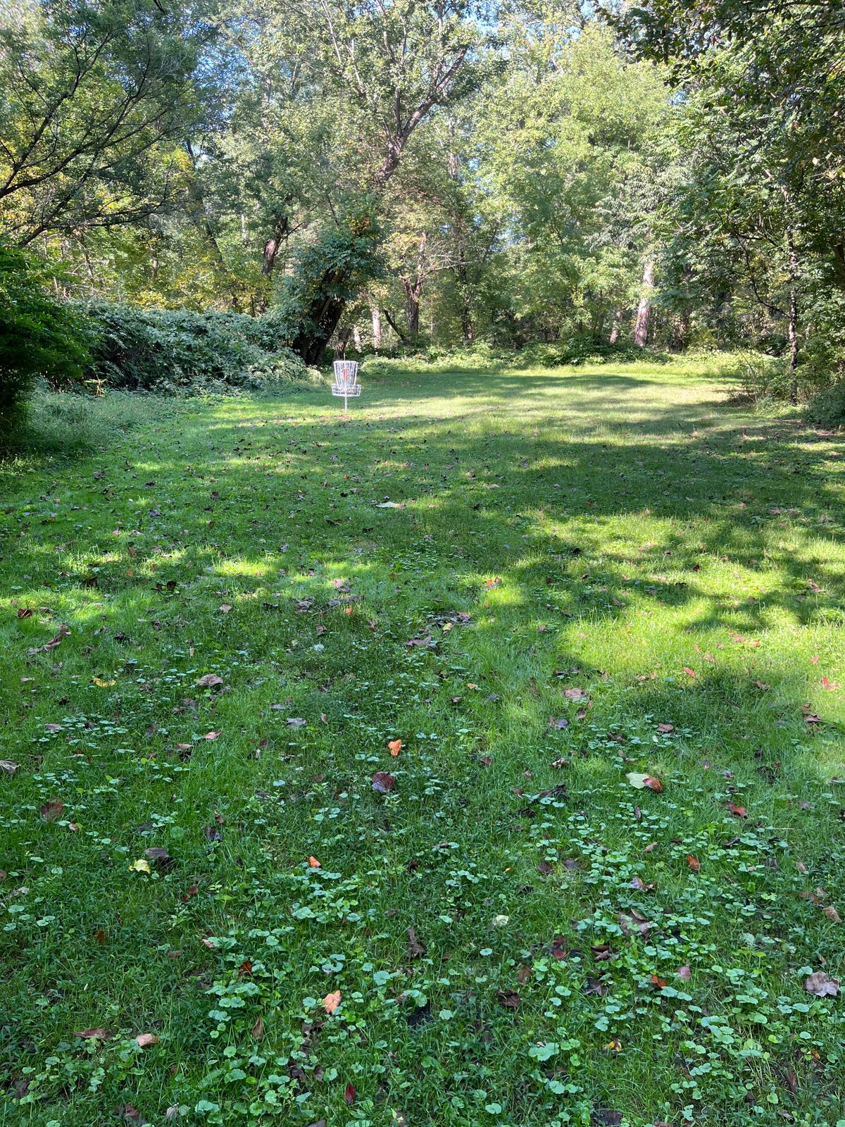 Hole 10 basket