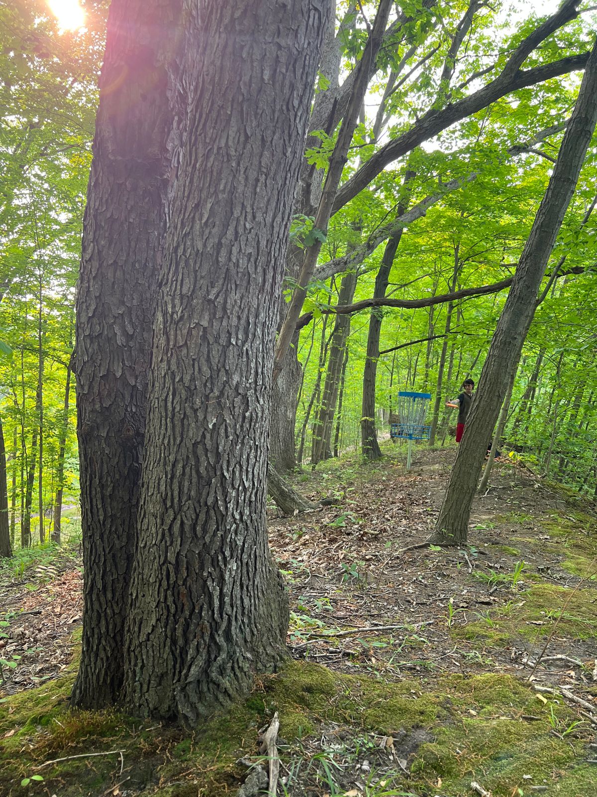 Hole 16 (Blue)