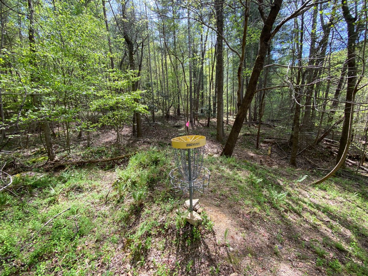 Hole 16 green.