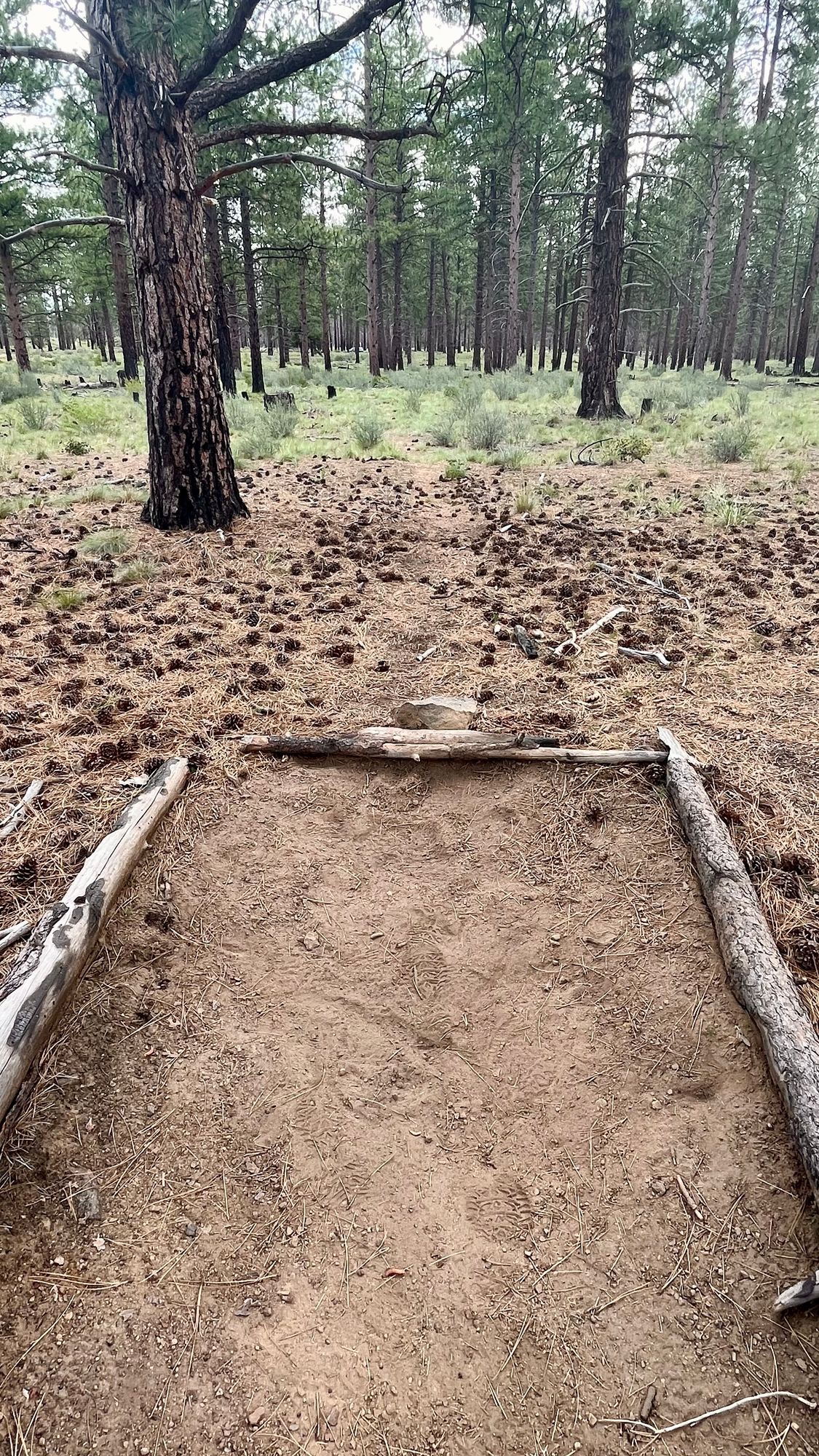 Tee pad on hole 19