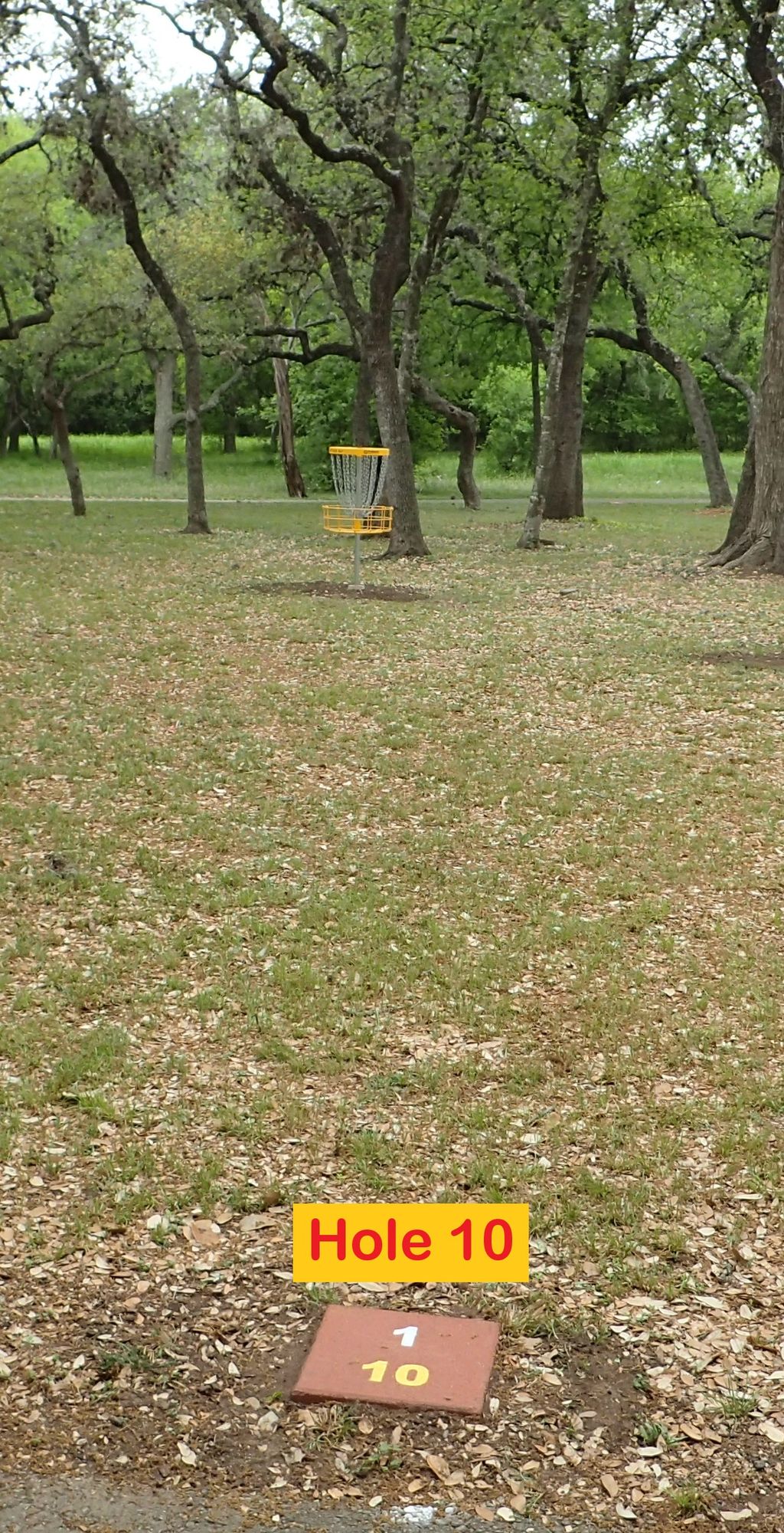 Hole 10