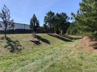 Hole 14 green and temp basket