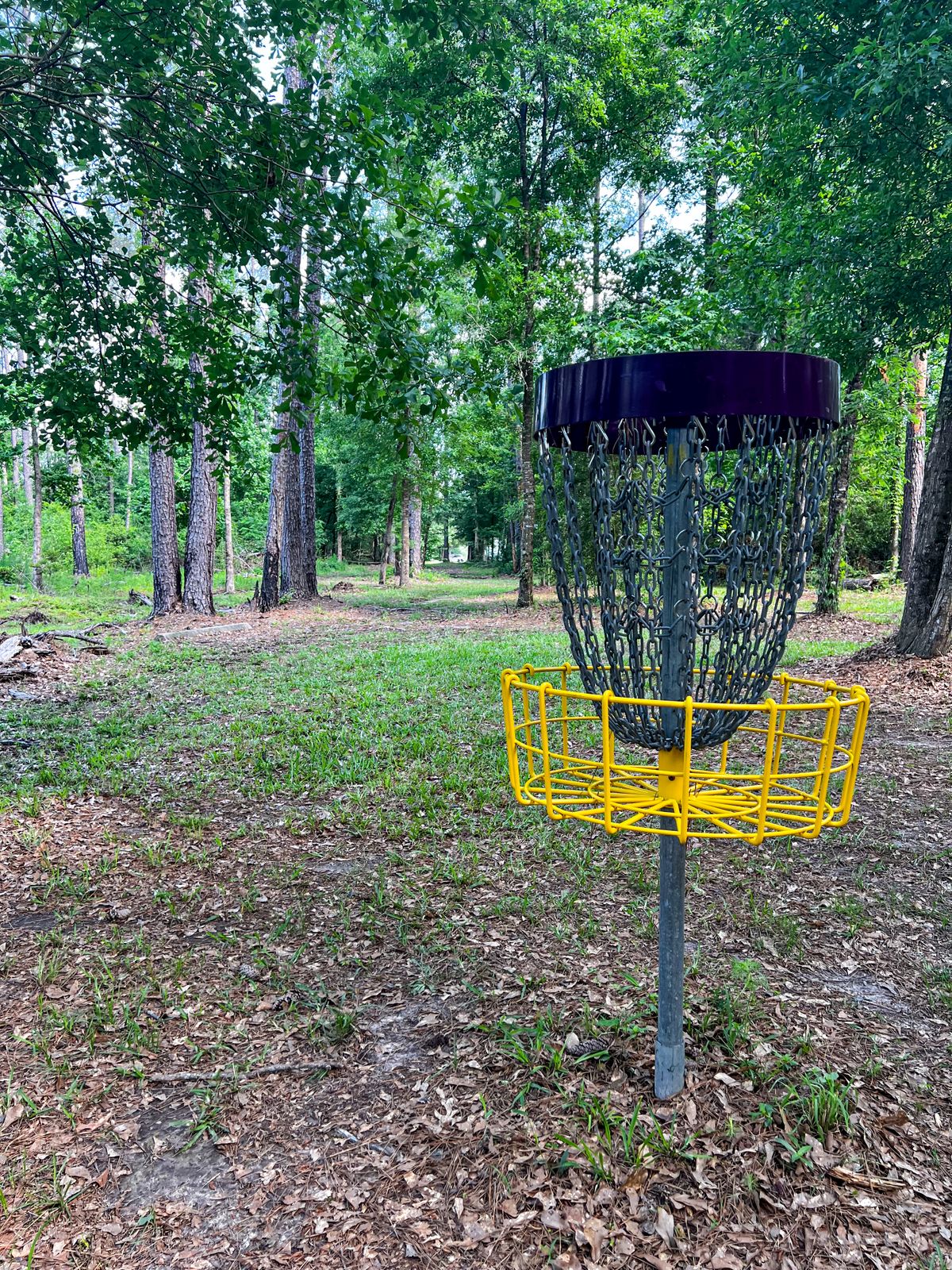 Hole 1 looking back at the tee pad