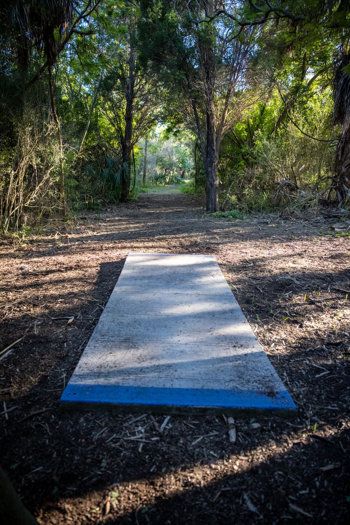 Hole 7 long pads.