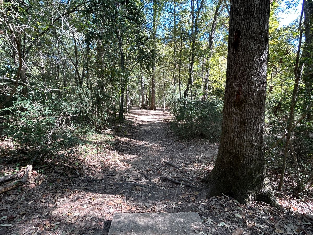 Hole 15 Fairway