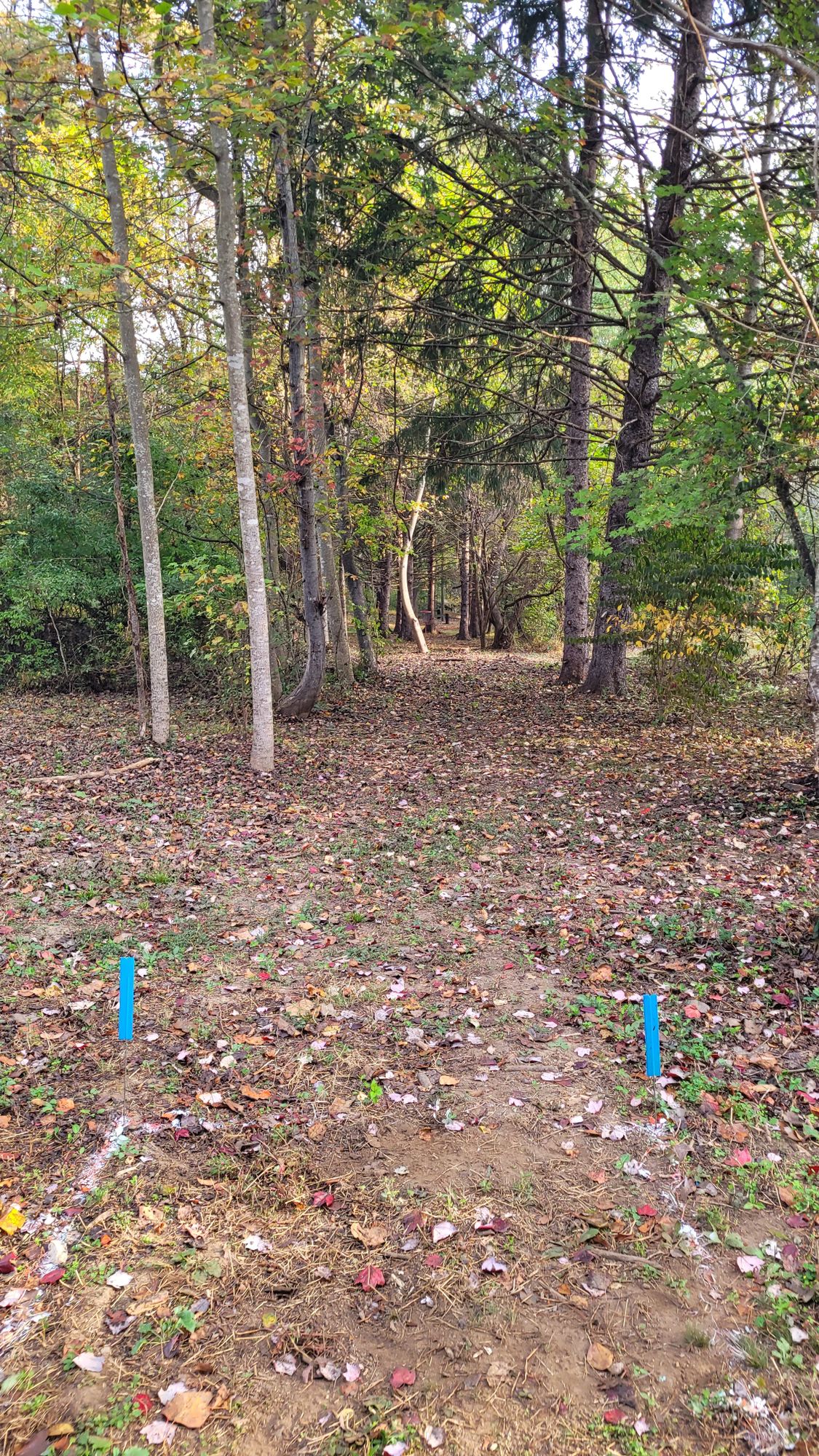 Hole 2 temp pad