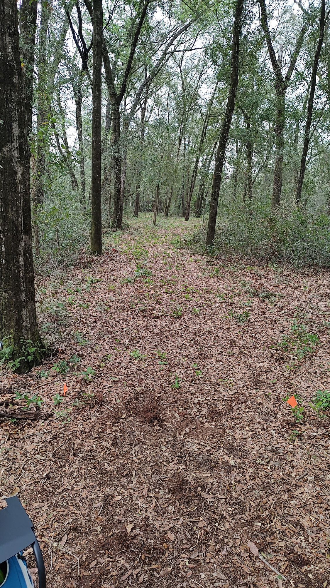 Hole 14