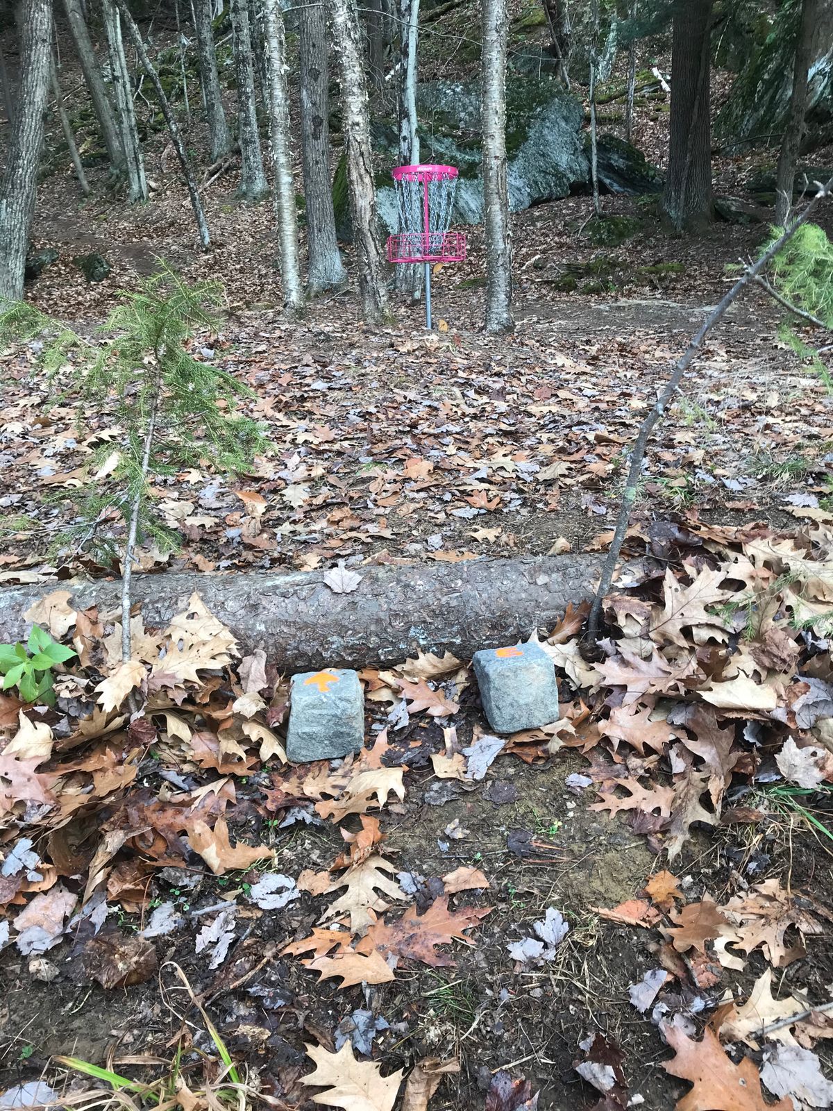 Roc Monster Basin hole variation.