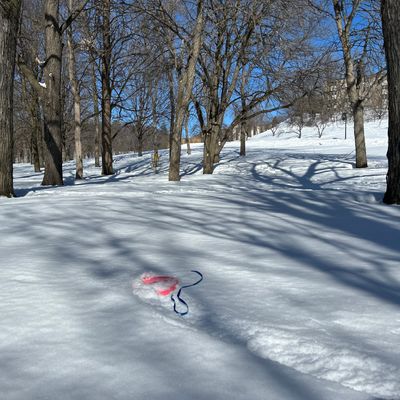 Snowshoes recommended