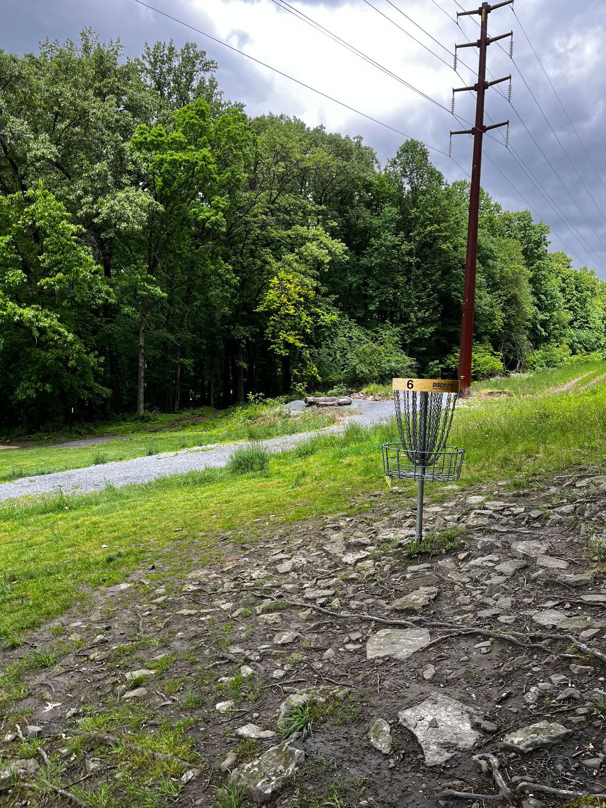 Hole 6 yellow green