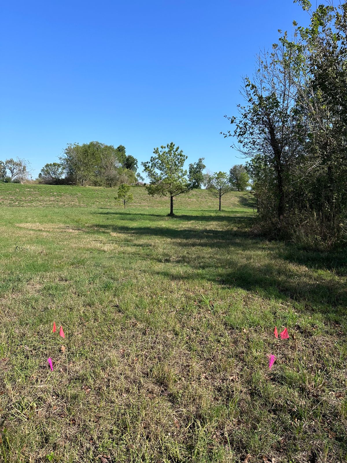 Hole 2 tee.  Basket up to the right