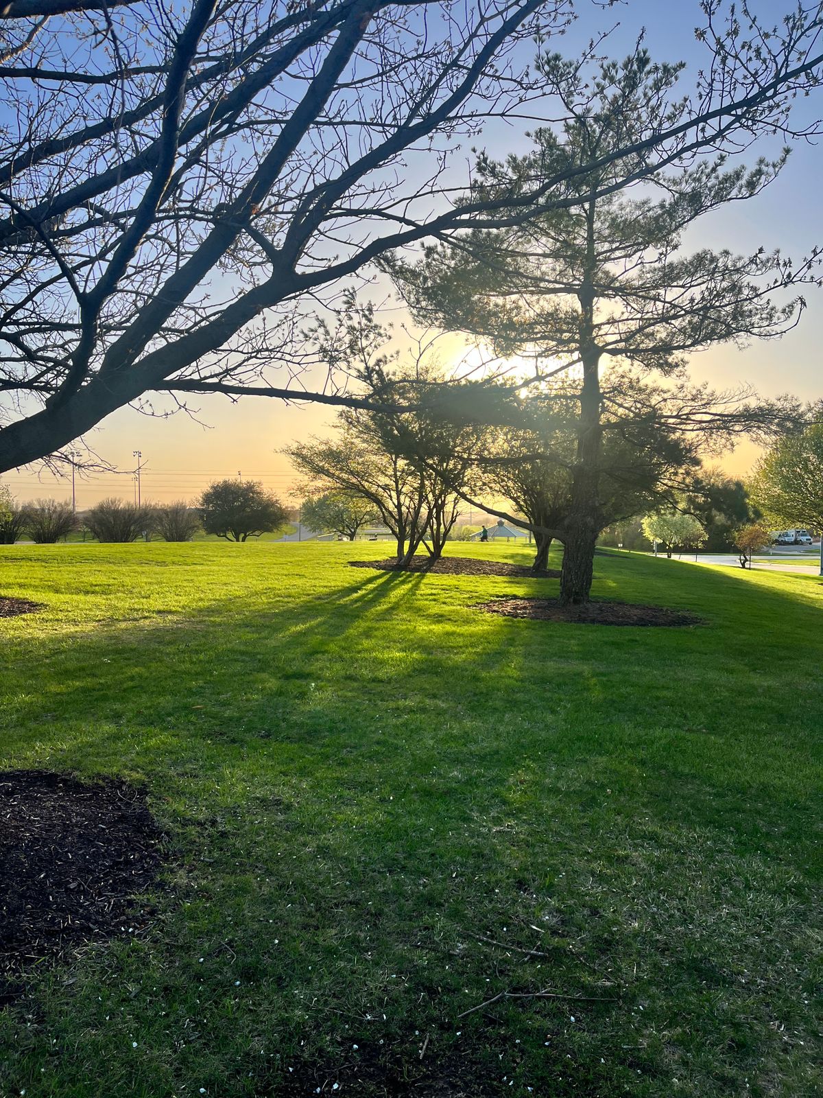 Hole 6 Fairway