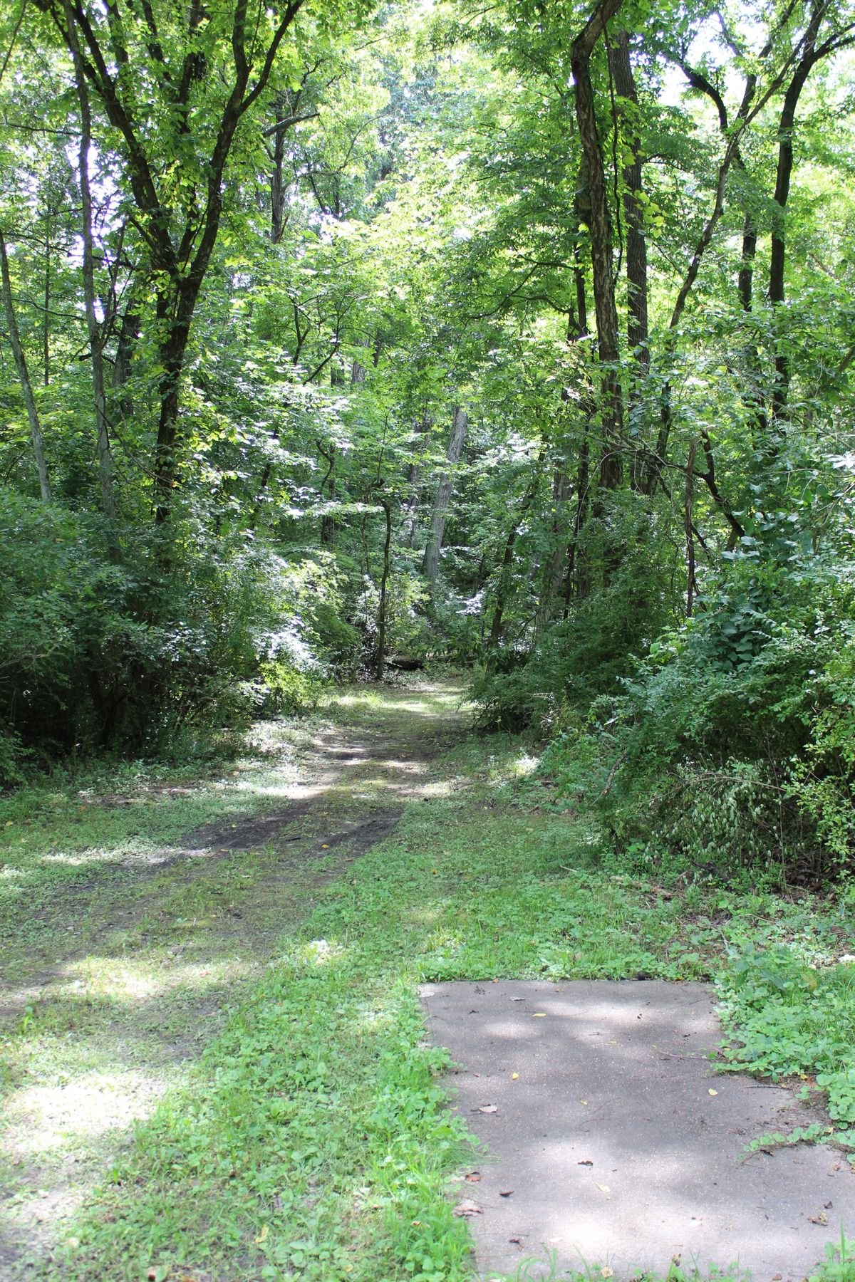 Hole 2 (Tee)