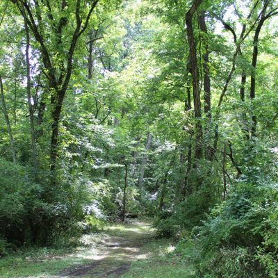 Hole 2 (Tee)