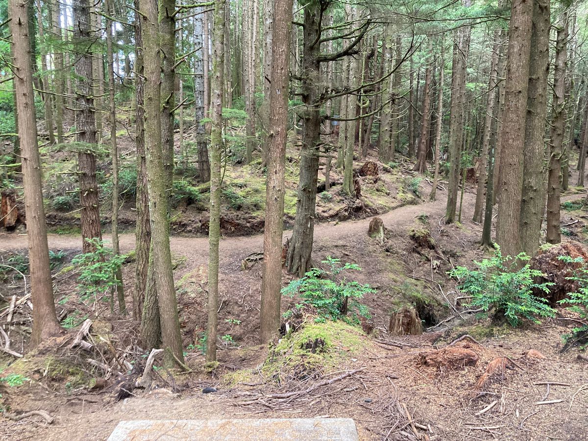 Hole 15 Aug 2022