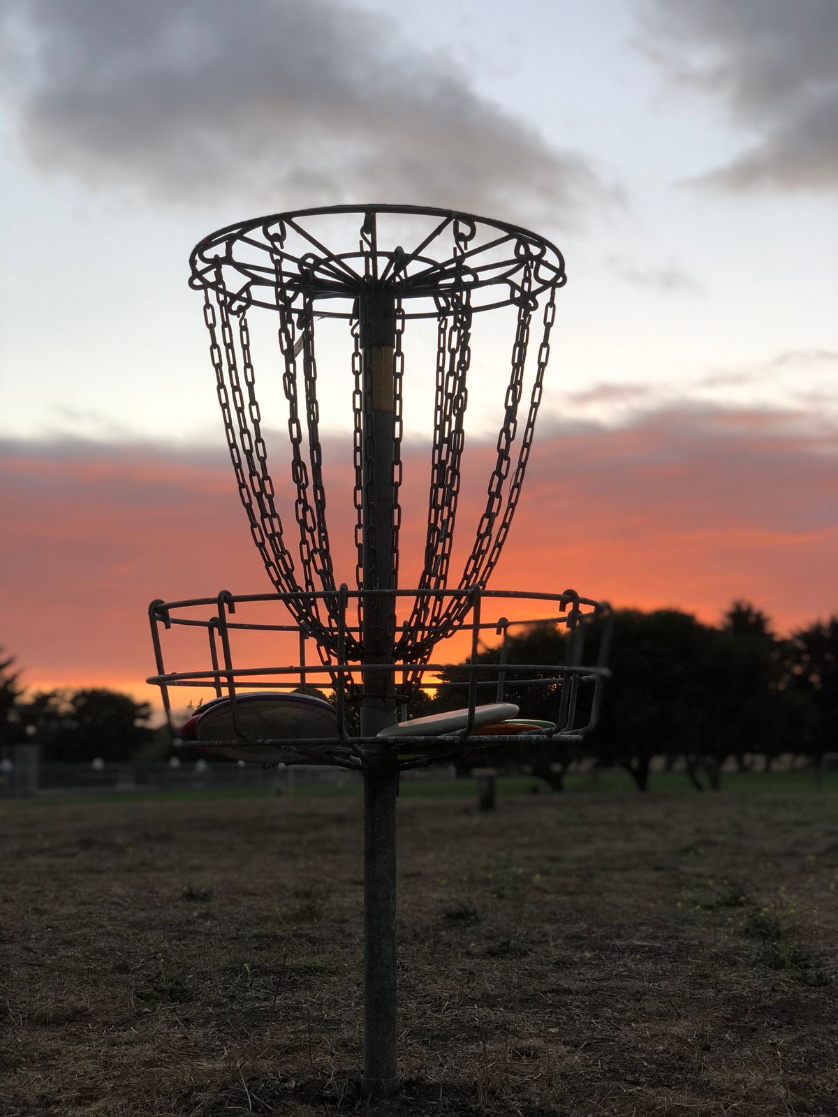 Hole 2’s basket.