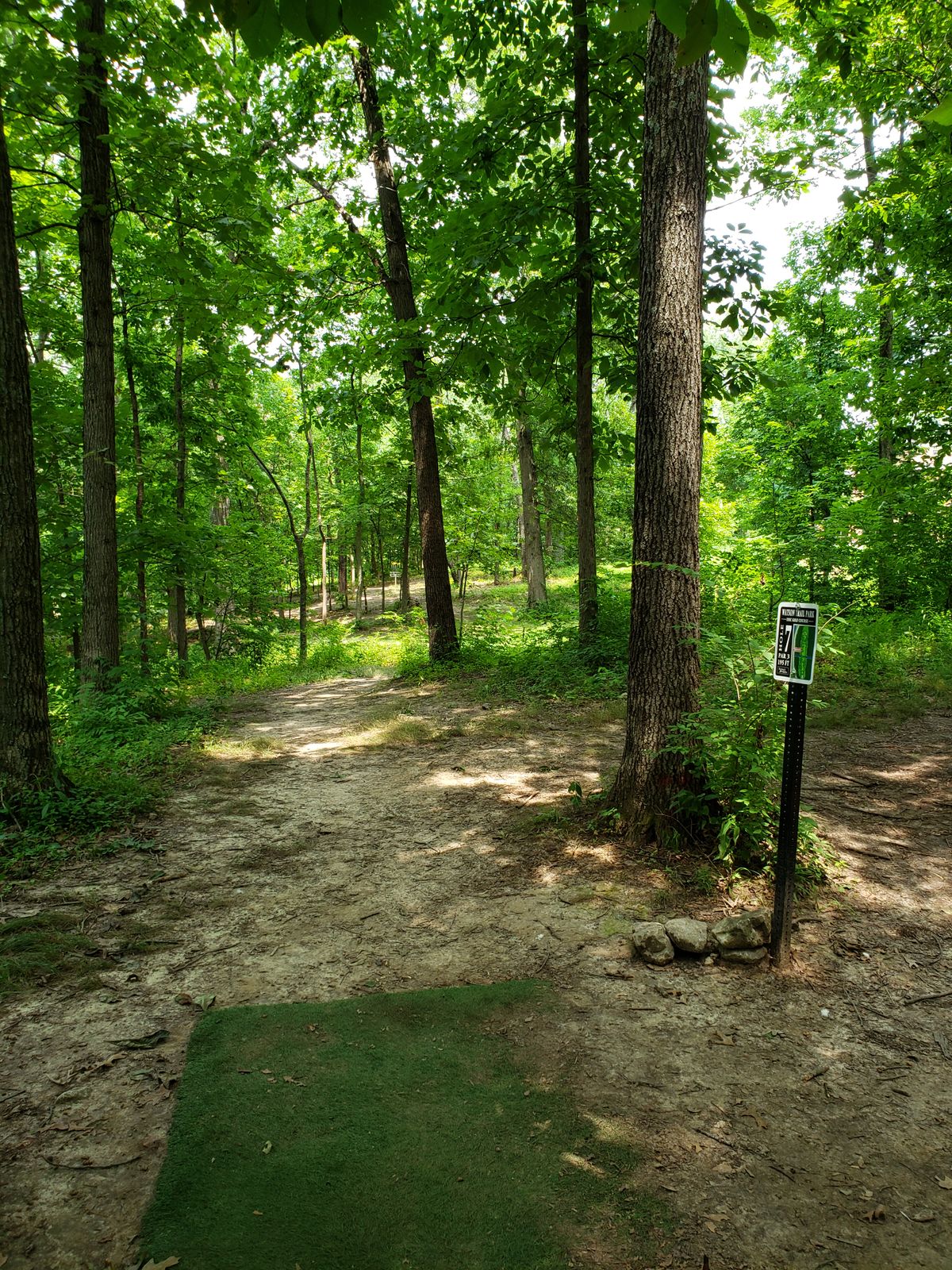 #7 Tee-Pad and Fairway