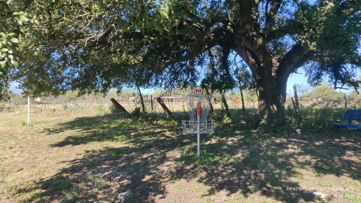 Hole #14 Basket