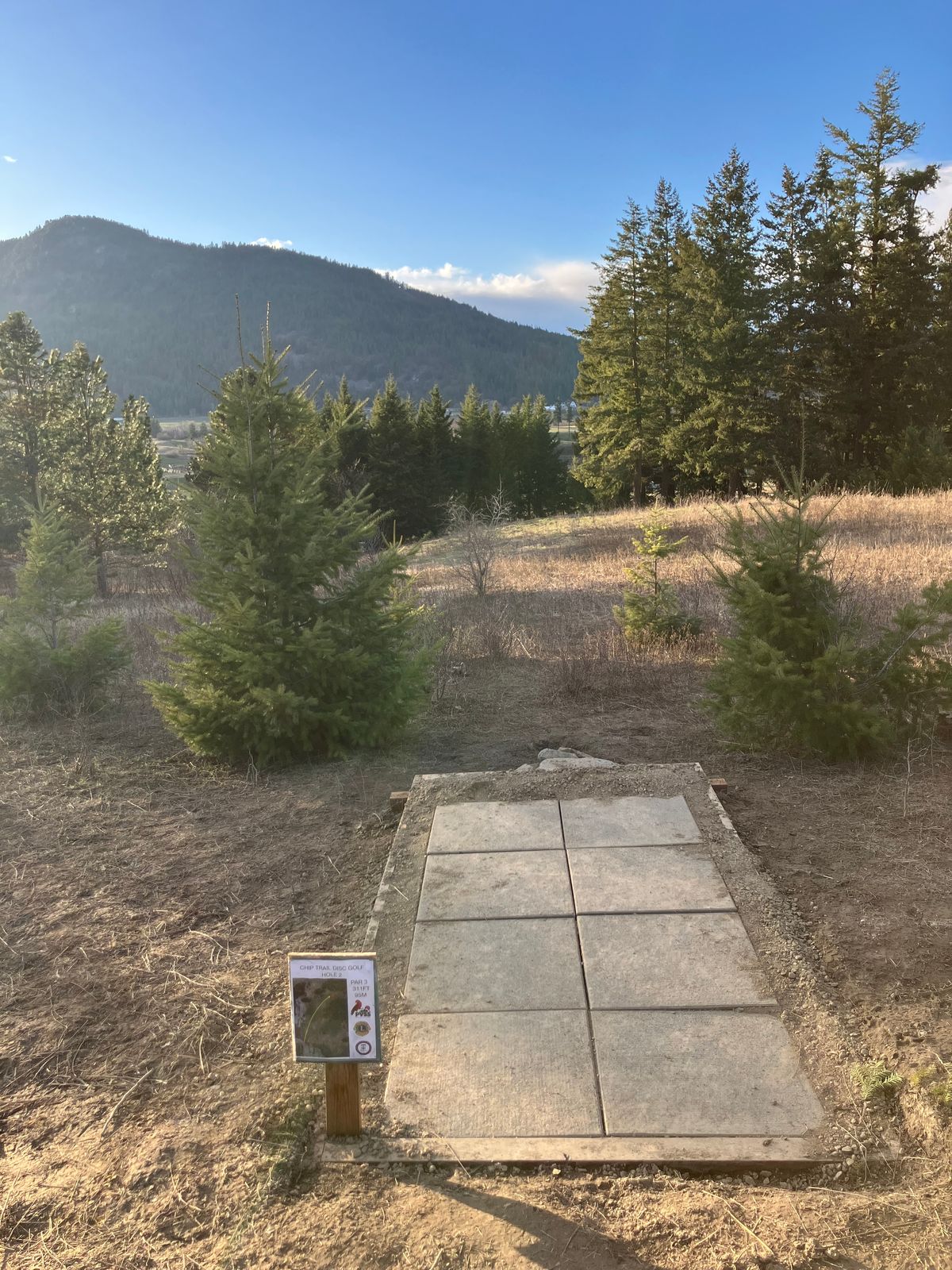 #2 signature hole AKA canopy crasher