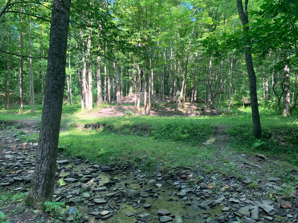 Hole 4 bottom of drop looking to long position