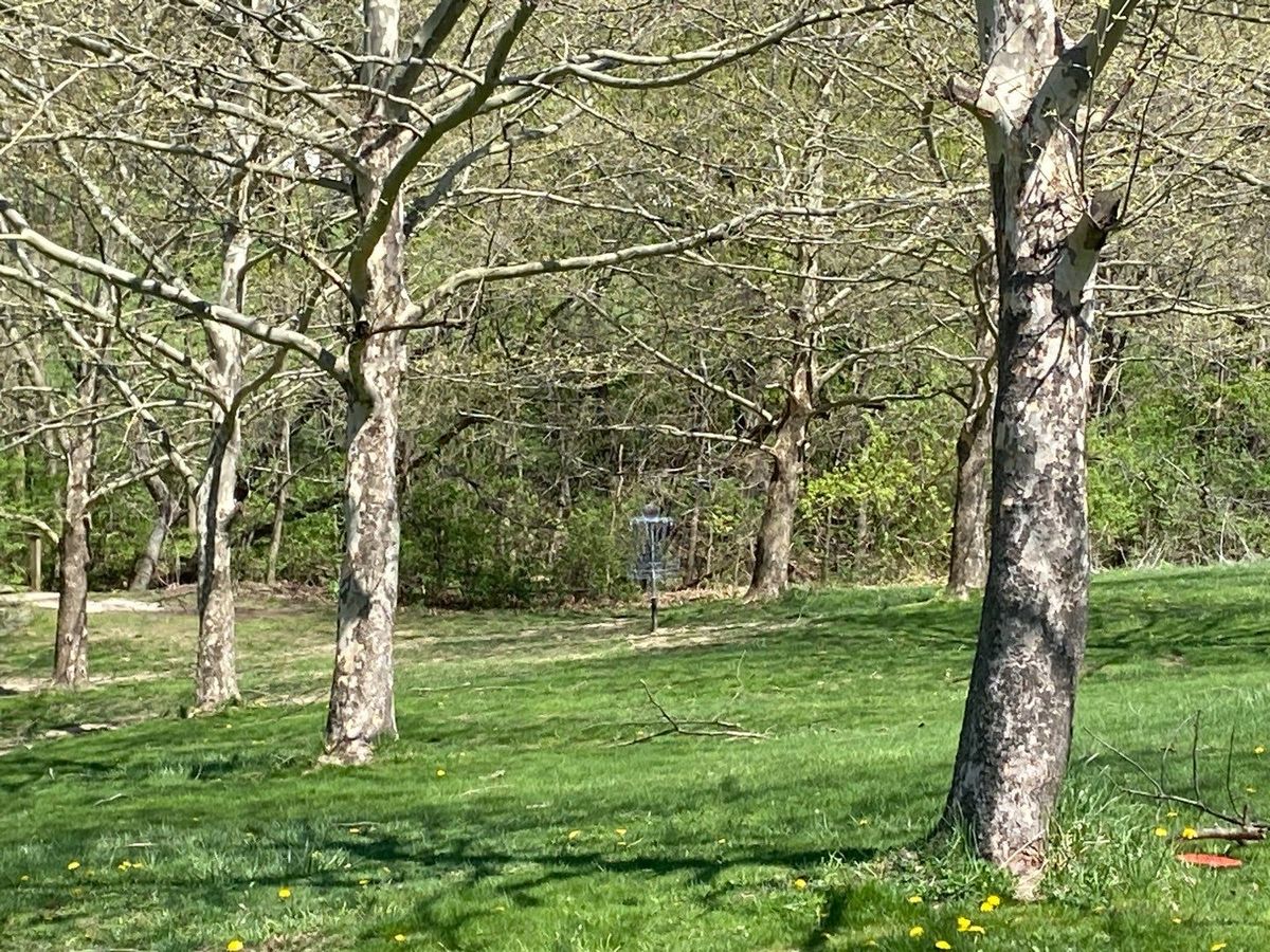 Hole 1 Green