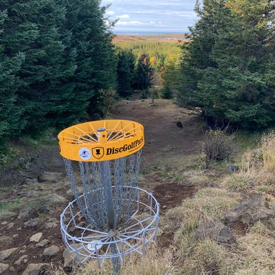 Hole 5