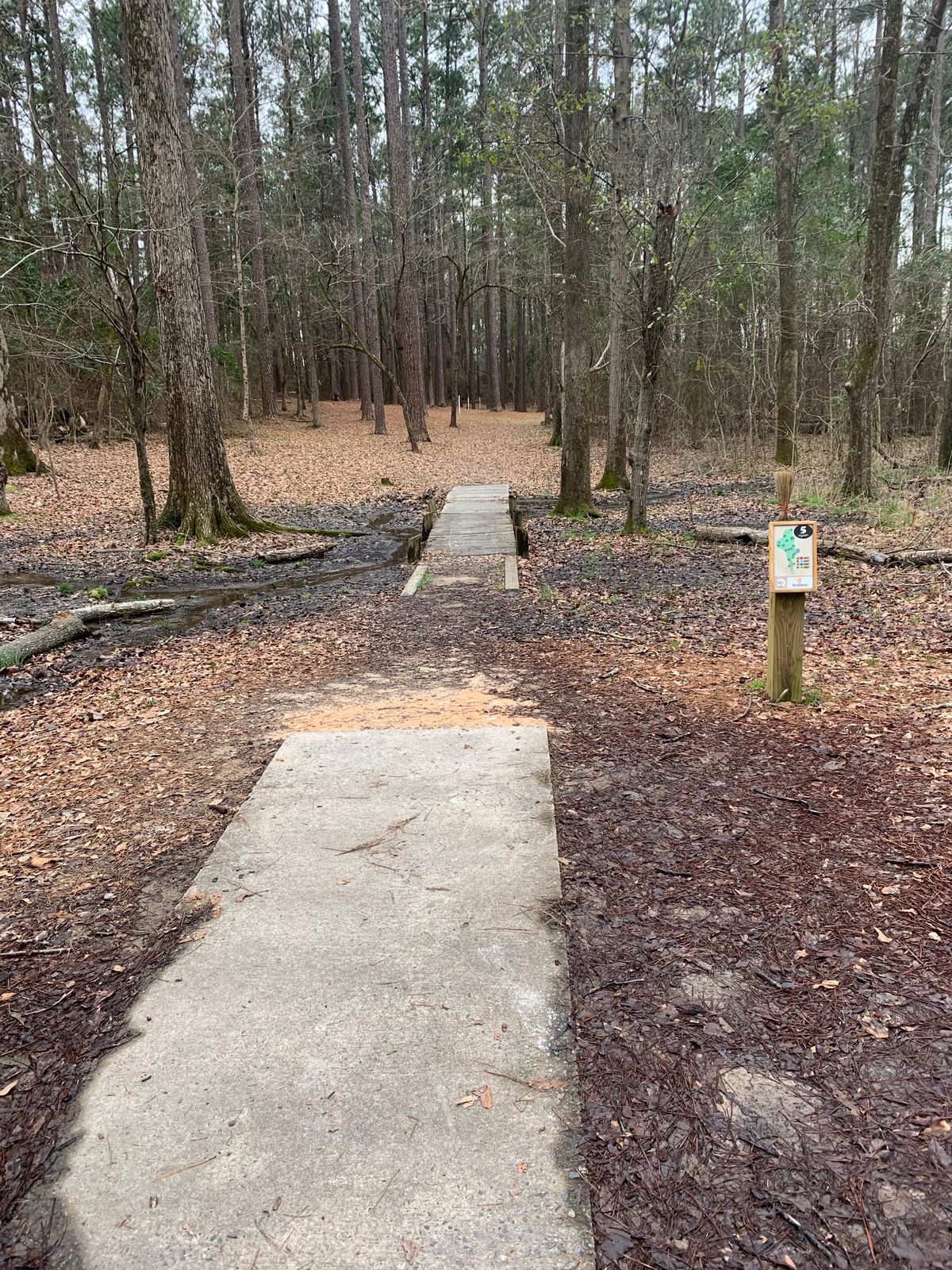 Hole 5