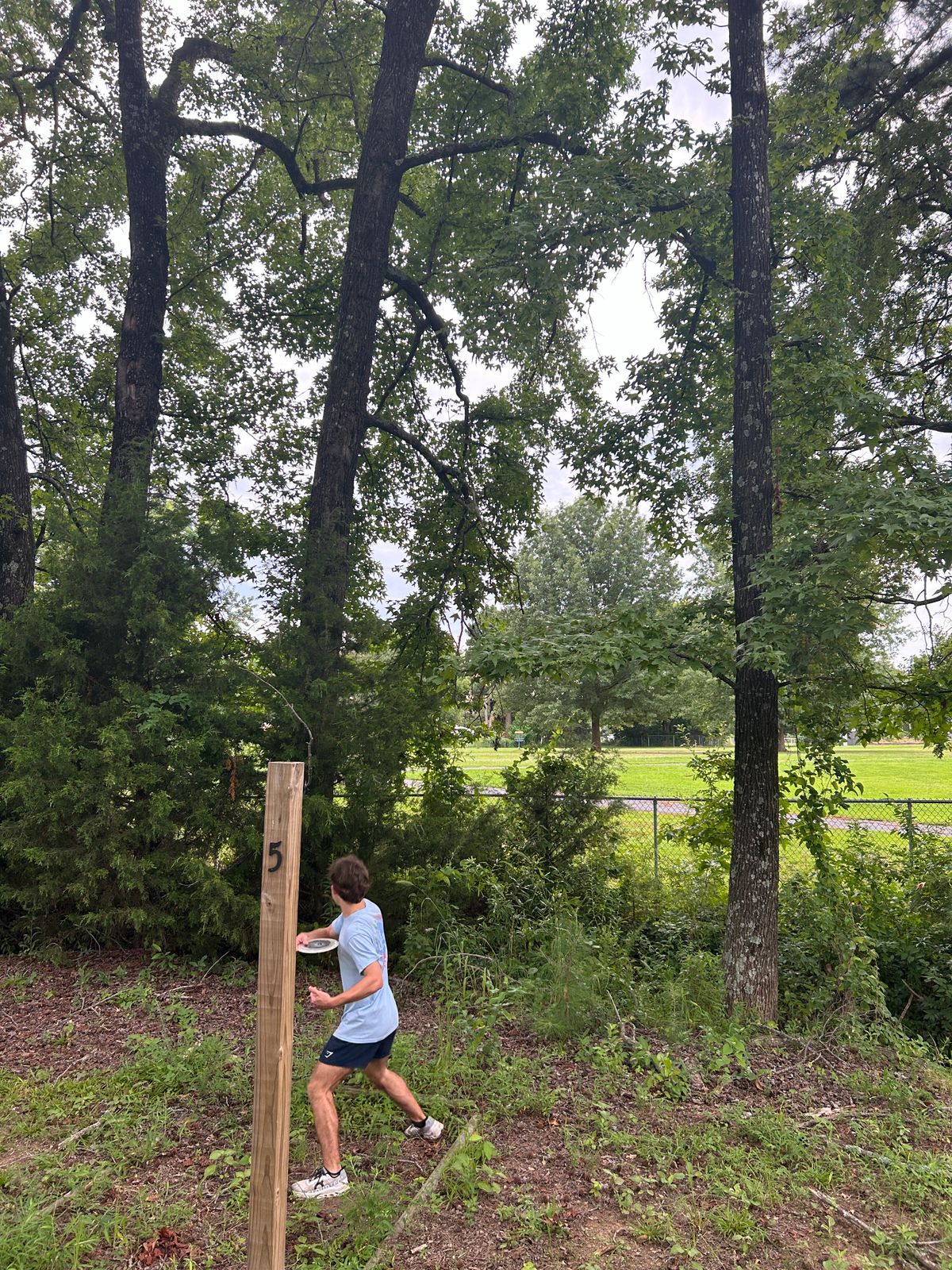 Hole 5 throws over the fence, basket is tucked behind the tree in the center of school’s playground.