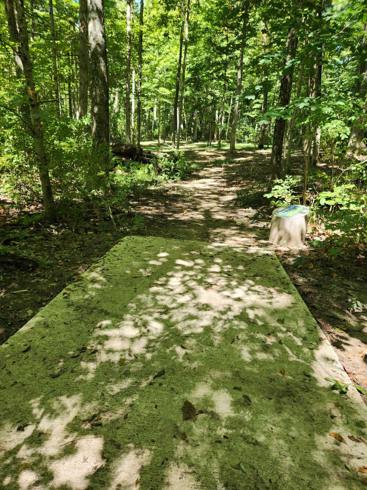 Hole 12 Blue