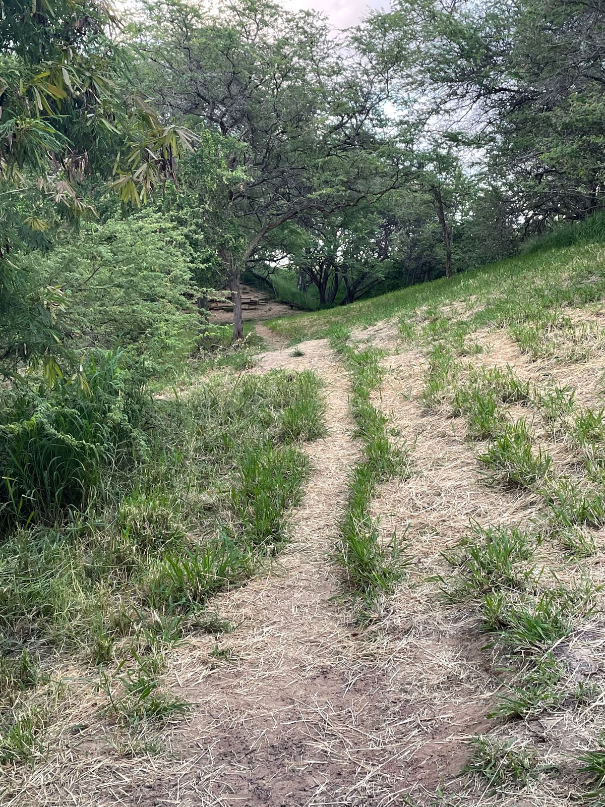 Hole 8