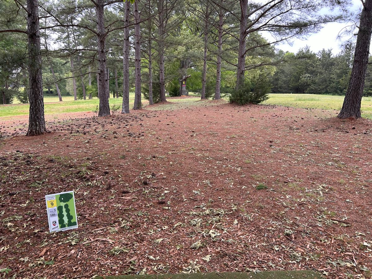 Hole 9 from the tee