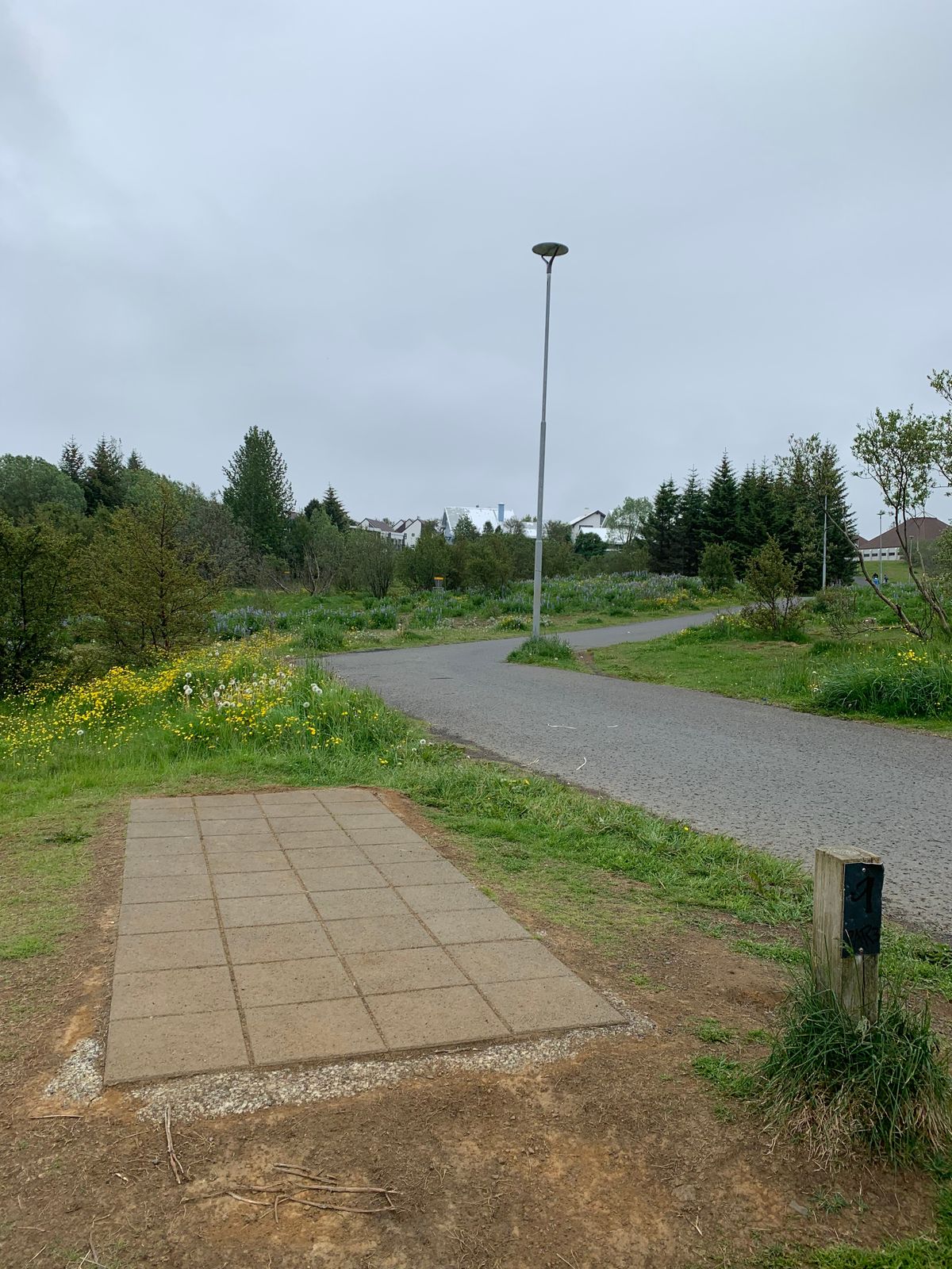 Hole 9