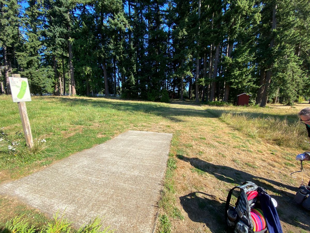Tee Pad Hole #11