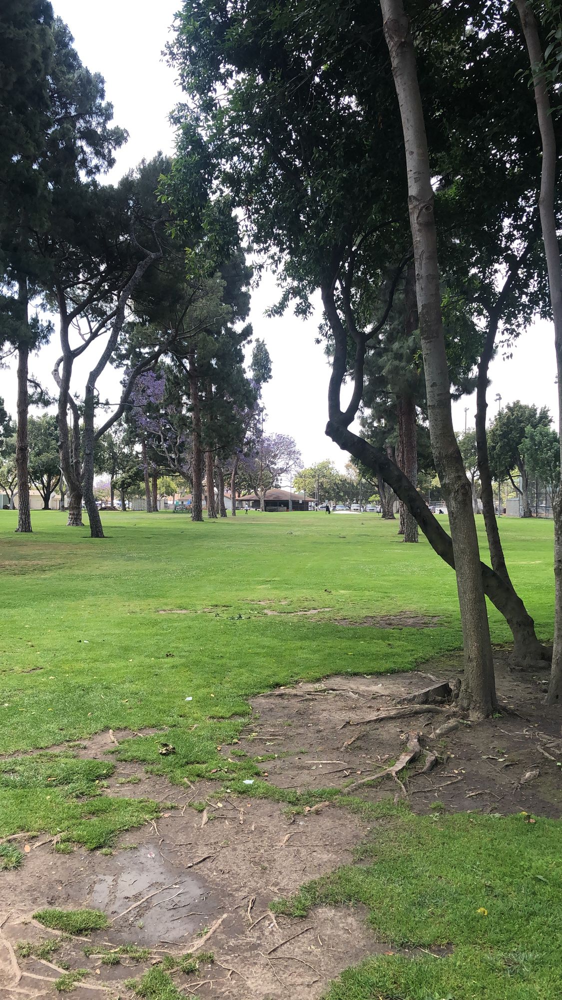 Hole 8